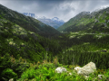 untitled-4109.jpg