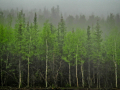 untitled-4132.jpg
