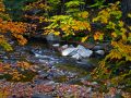 GraftonBrook_101004_4972.psd