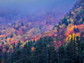 LostRiver_101104_5027.psd