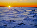 Ice_011304_4545.