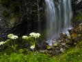 NaradaFalls_060816_8465