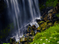 NaradaFalls_060816_8470