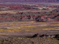 PaintedDesert_061103_9090