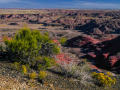 PaintedDesert_061103_9109