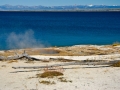 Yellowstone_080908_5257