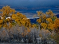 Tamaya_081105_6115