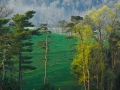 Biltmore_080409_3010
