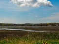 Sandwich_080506_3185