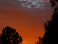 Brentwood_080805