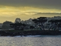 PacificGrove_090224_0602
