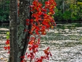 2009Favorites-109.jpg