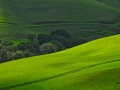 2009Favorites-6715.jpg