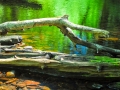 2009Favorites-7312.jpg