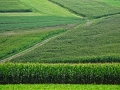 2009Favorites-7569.jpg