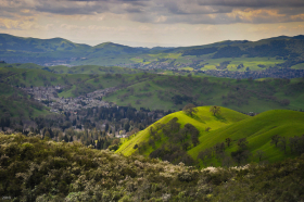 Springtime in the Contra Costa hills, March