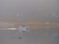 2010Favorites-6850.jpg