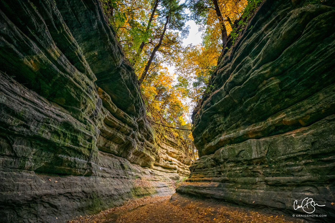 Oct 23: Canyon, Starved Rock State Park, Illinois