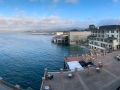 50thAnniversary-1127.jpg