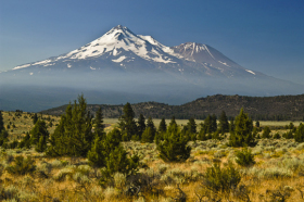 Shasta_060817_8622