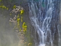 BurneyFallsCloseUp_060817_8633