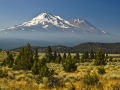 Shasta_060817_8622