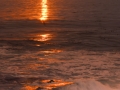 PacificGrove_090224_6514