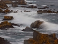 PacificGrove_090224_6543