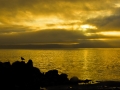 pacificGrove_090224_6553