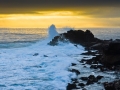 PacificGrove_090224_6585