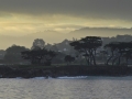 PacificGrove_090224_0602