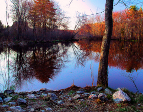 ConcordPond_A1_041502