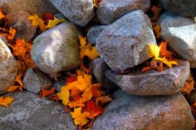 Concord_24_102202