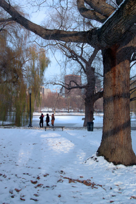 PublicGarden_2_120802