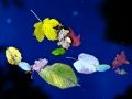 leavesonwater1