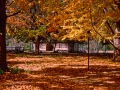 NewHarmony_A110501