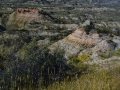 NDBadlands_040907_4476