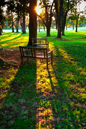 0900chairs_sun2