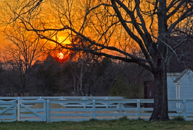 Sunset_070313_D20272