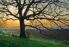 Biltmore_080408_2989