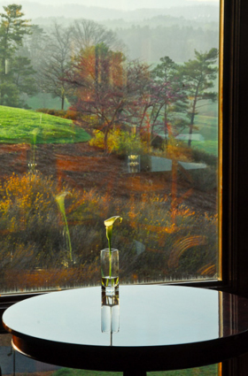 BayArea_Archive-3038.jpg