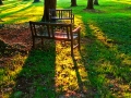 0900chairs_sun2