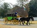 Coachman_20070314-D20282