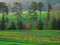 Biltmore_080408_3027