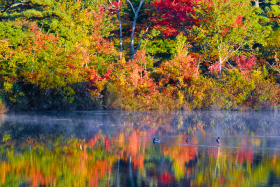 Wareham_081011_5686