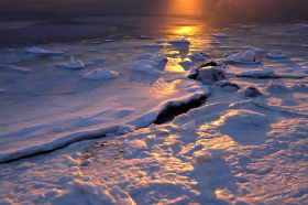 Ice_011304_3372