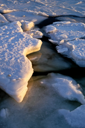 Ice_012304_3484
