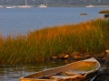 20071006-D20_2023