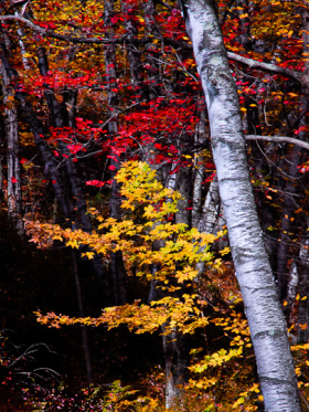Quabbin__081015_5724