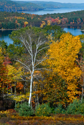 Quabbin__081015_5739